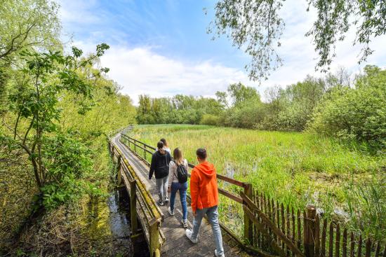 Bienvenue au Parc naturel régional des Caps et Marais d’Opale