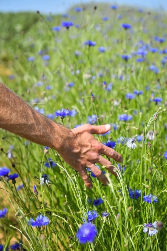 Préserver la biodiversité : un enjeu majeur