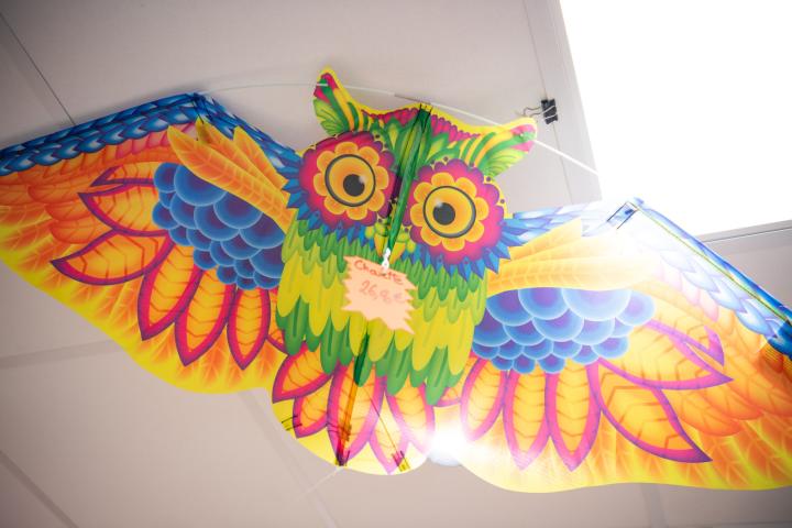 Cerf-volant : les conseils de Jérémy Leleu