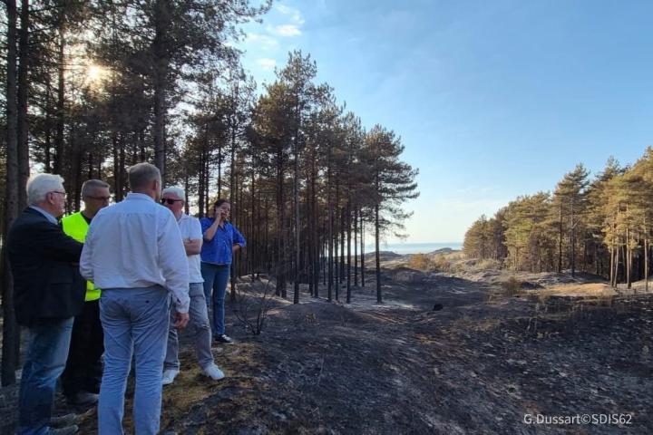 Feu de forêt à Neufchâtel-Hardelot-Dannes : la mobilisation se poursuit