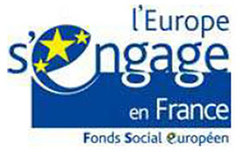 Logo FSE France